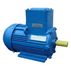 Взрывозащищенный электродвигатель АИМУ250M8 IM 1081 (лапы)